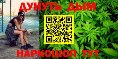 сатива Будённовск