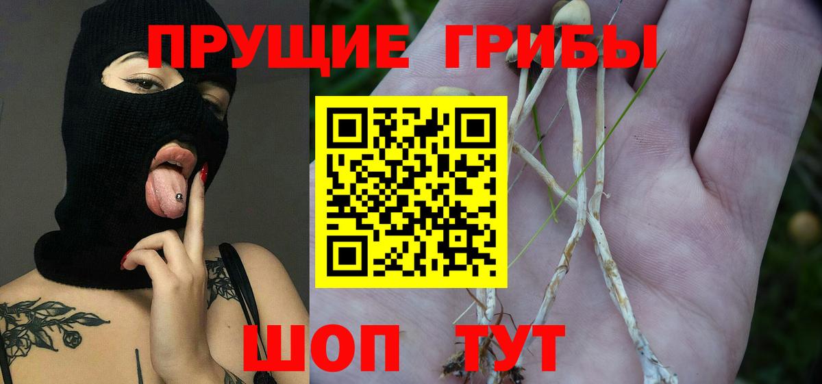 Псилоцибиновые грибы GOLDEN TEACHER  Вход с VPN  Уварово 